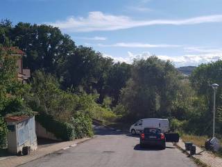 Zona