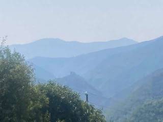 Vista