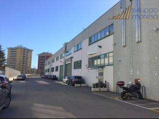 Zona