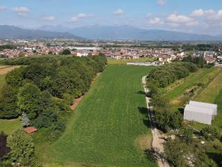Vista