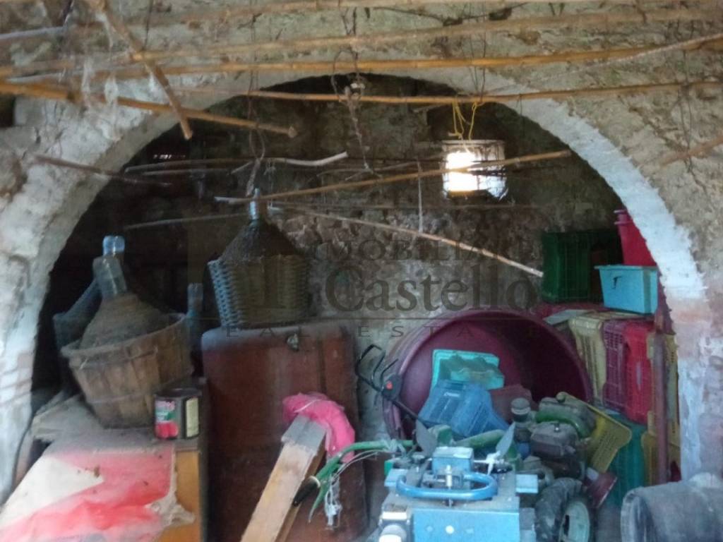 Cantina
