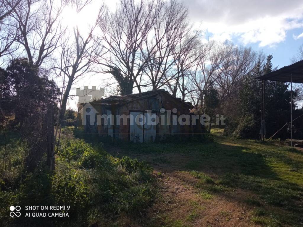 Terreno