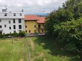 Vista
