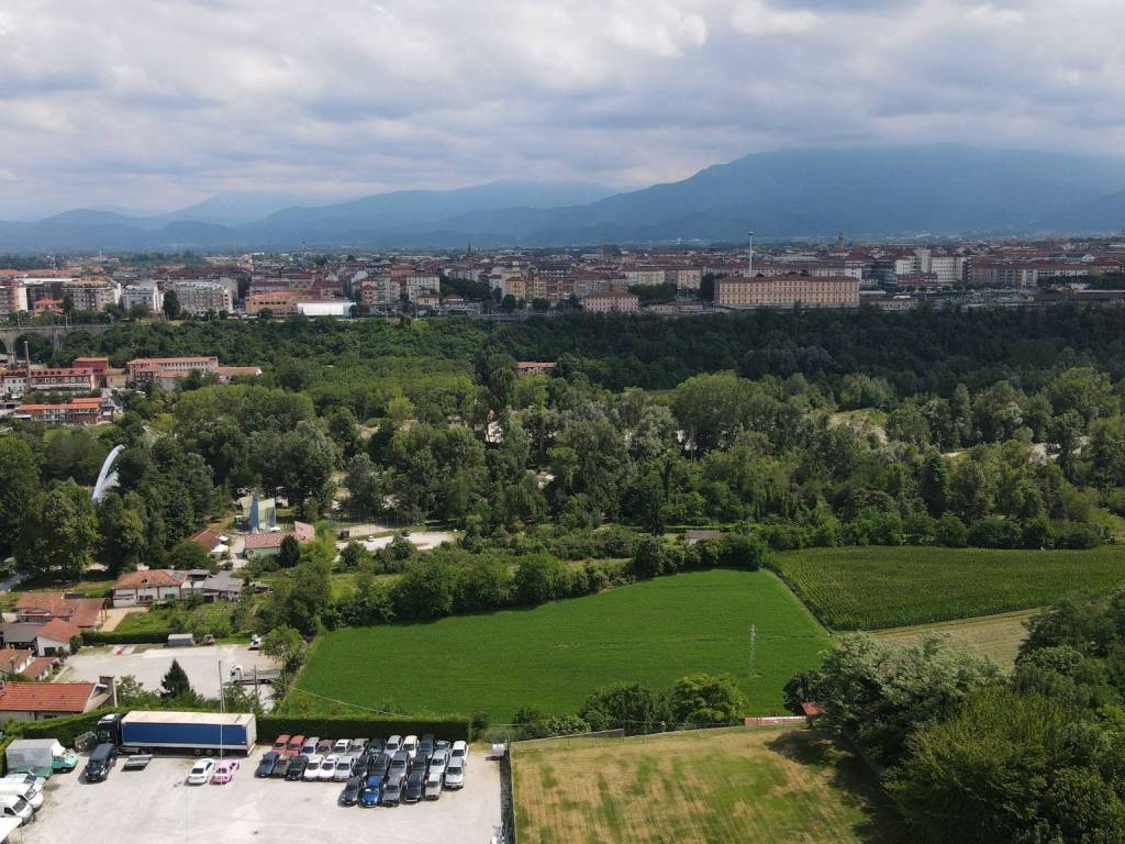 Vista
