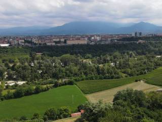 Vista