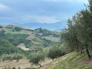 Vista