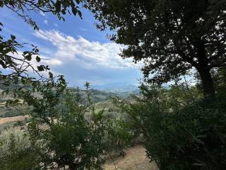 Vista