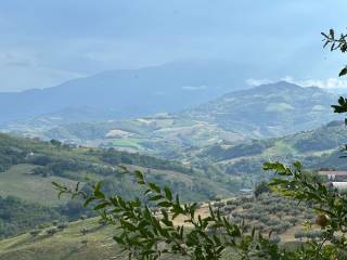 Vista