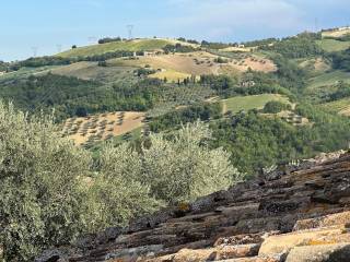 Vista