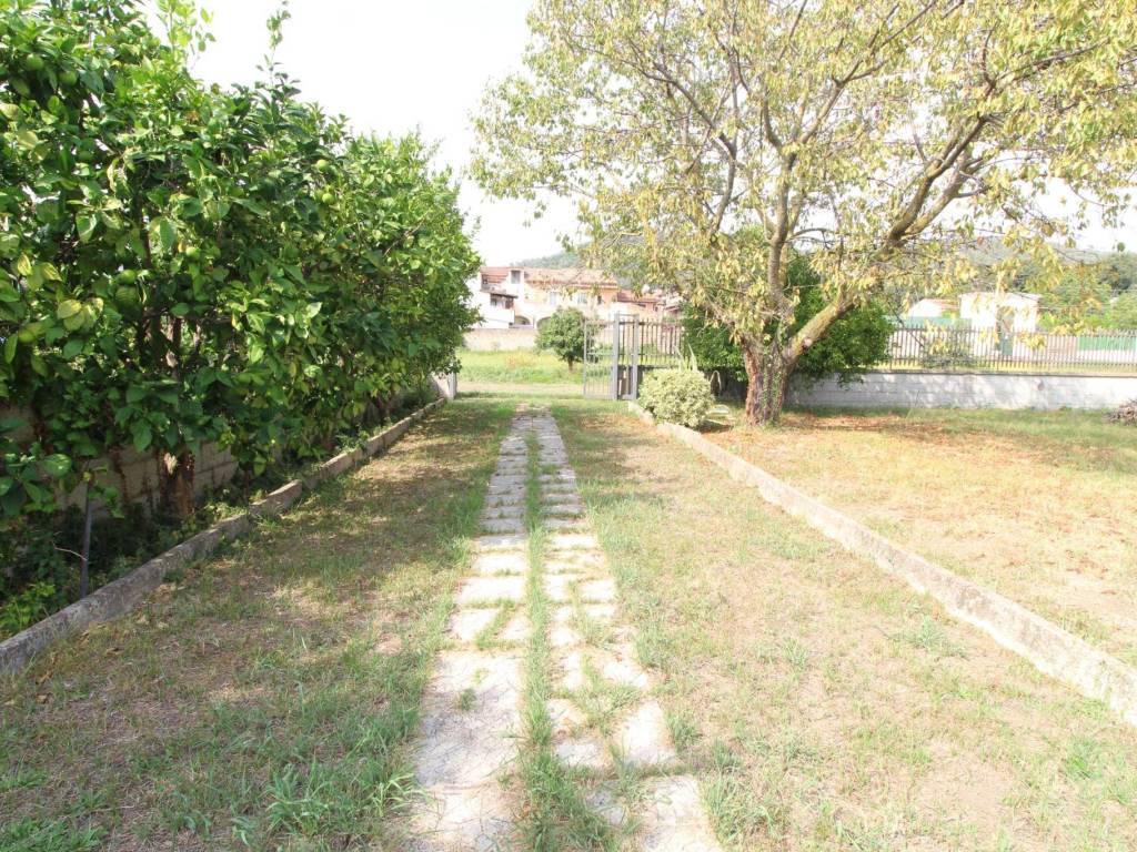 Terreno