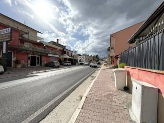 Zona