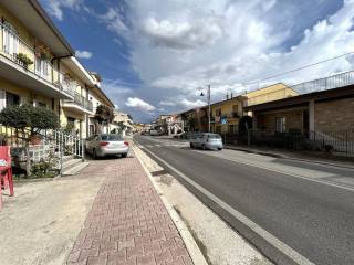 Zona