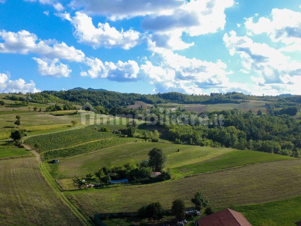 Vista