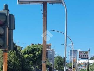 Zona