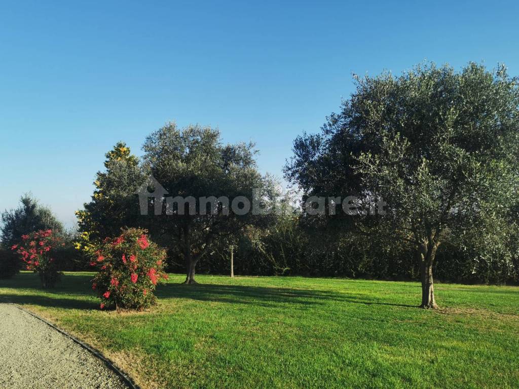 Terreno