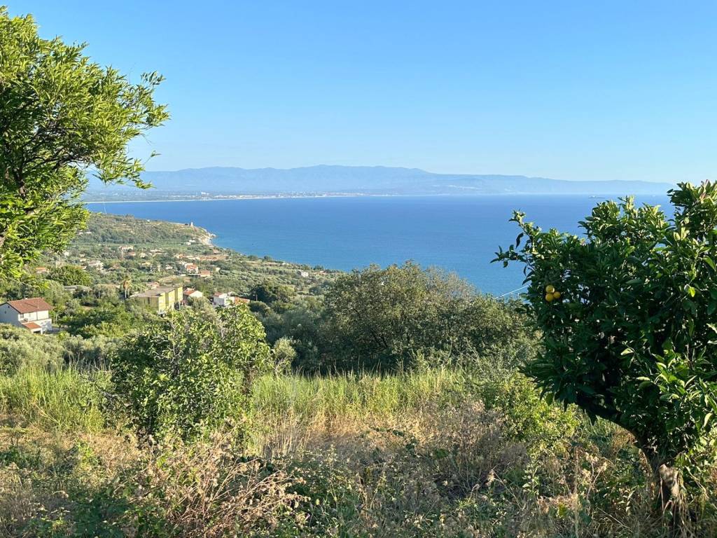 Vista