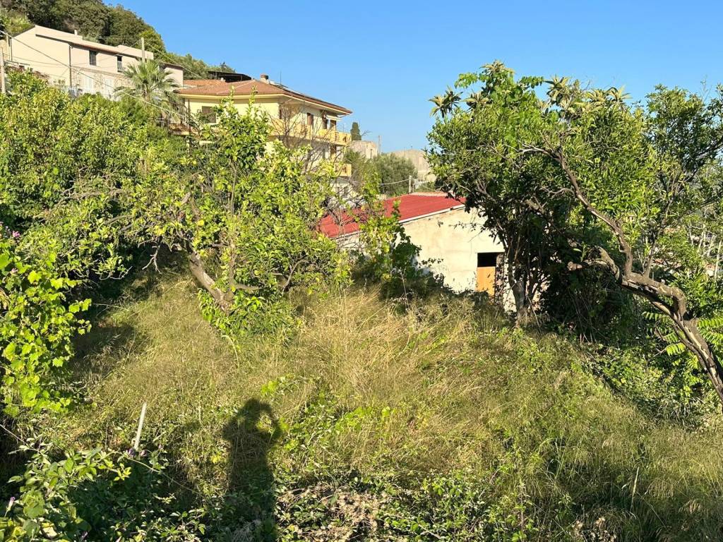Terreno