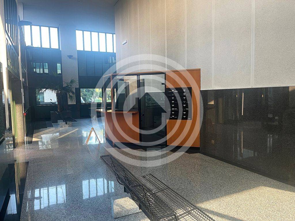 Ingresso
