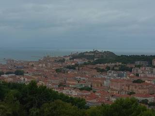Vista