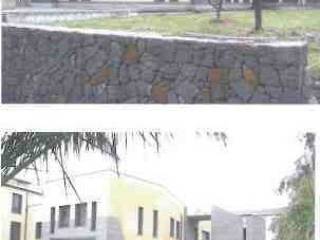 Zona