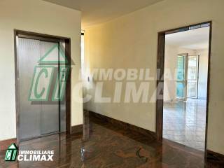 Ingresso