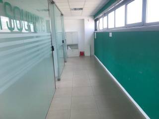 Dettagli