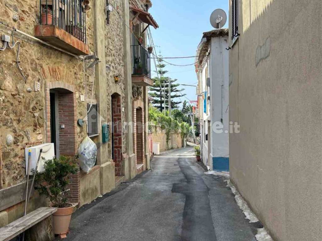 Zona