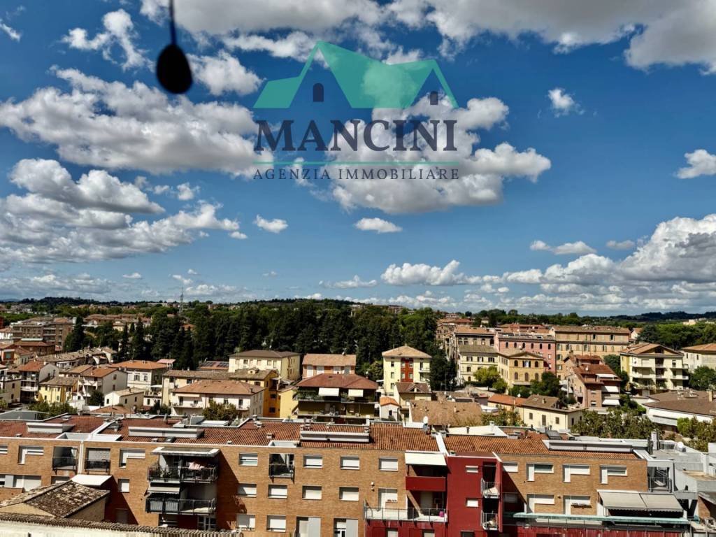 Vista