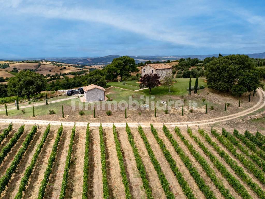 Terreno