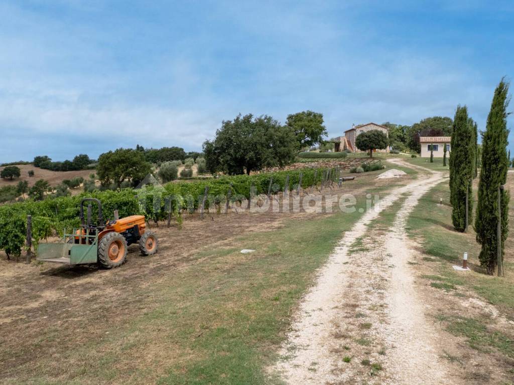 Terreno