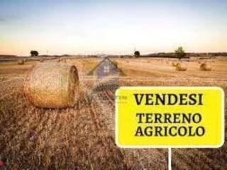 Altro