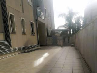 Zona