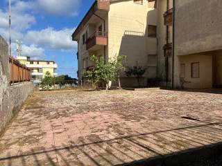 Zona