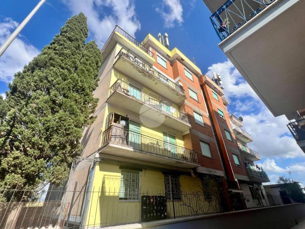 Trilocale via Angelo Salmoiraghi 1, Tor Vergata, Roma