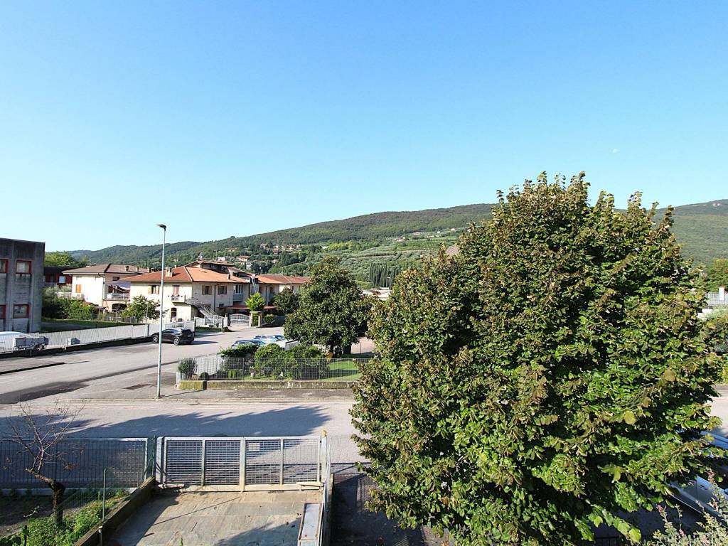 Vista