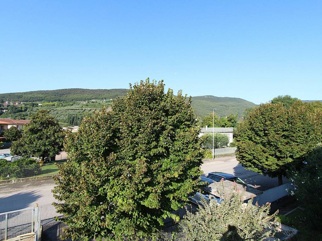 Vista
