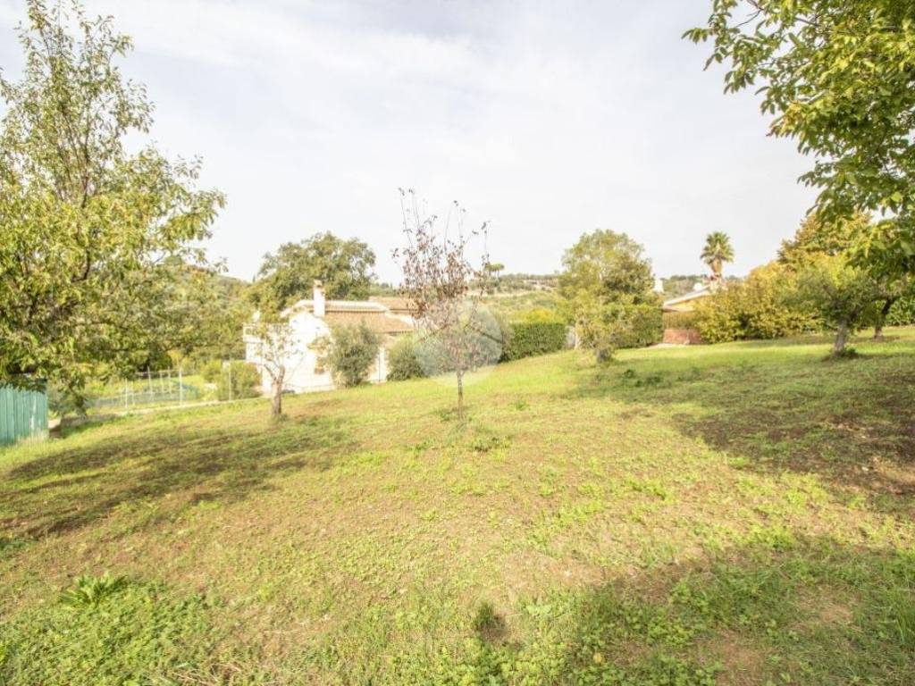 Terreno