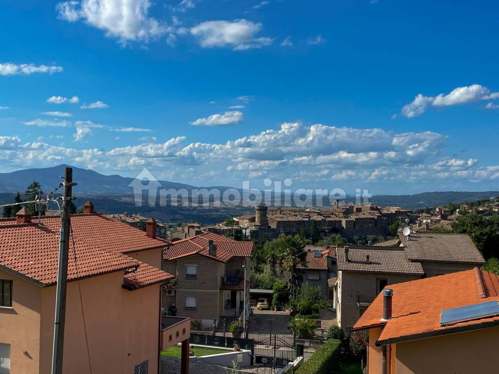 Vista
