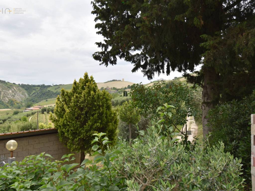 Vista