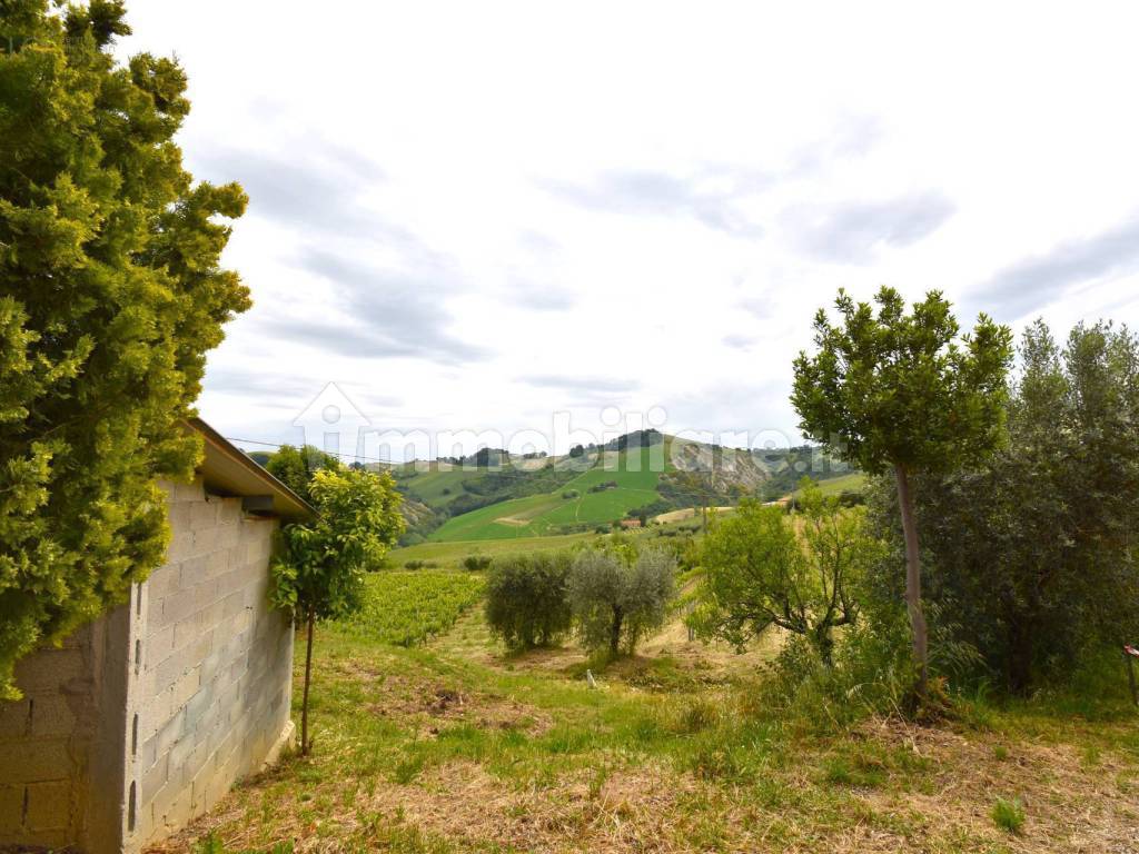 Terreno