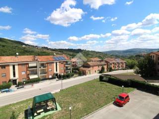 Vista