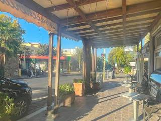 Zona