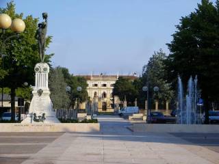 Zona