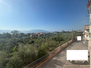 Vista