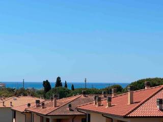 Vista