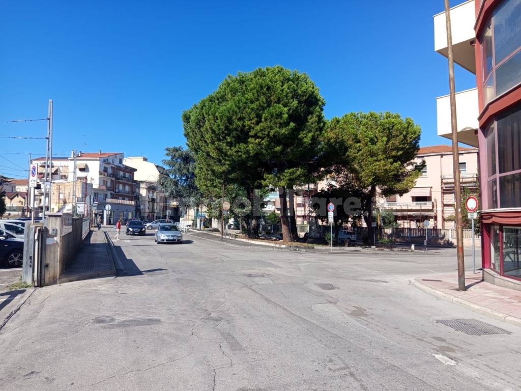 Zona