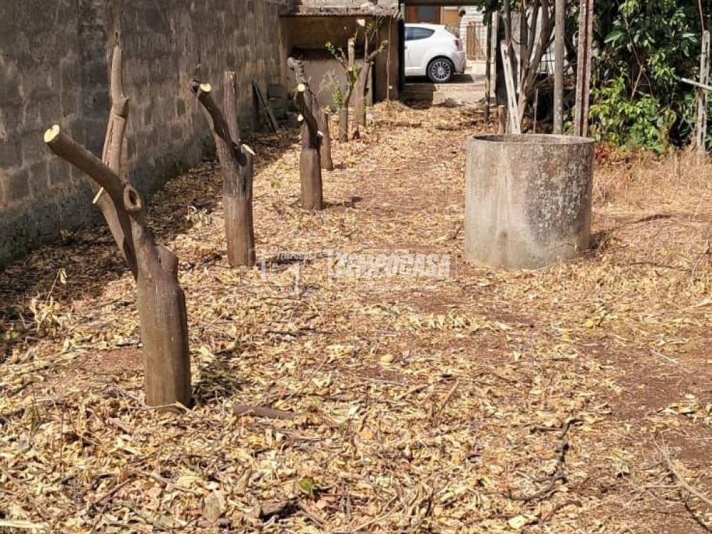 Terreno
