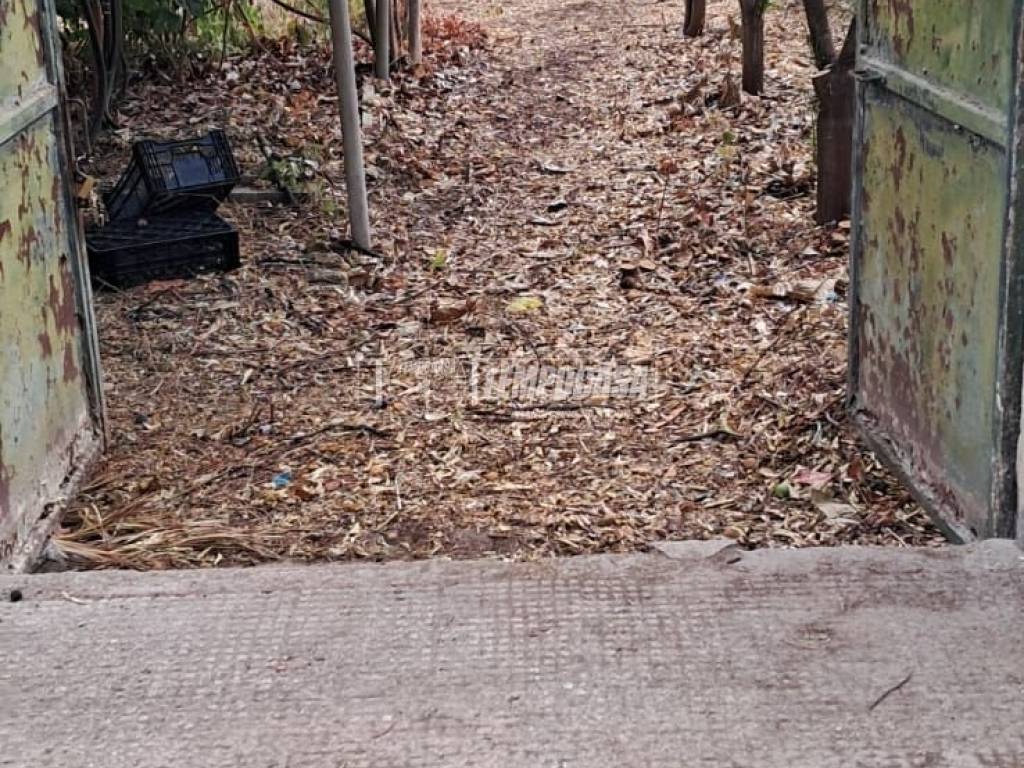 Terreno