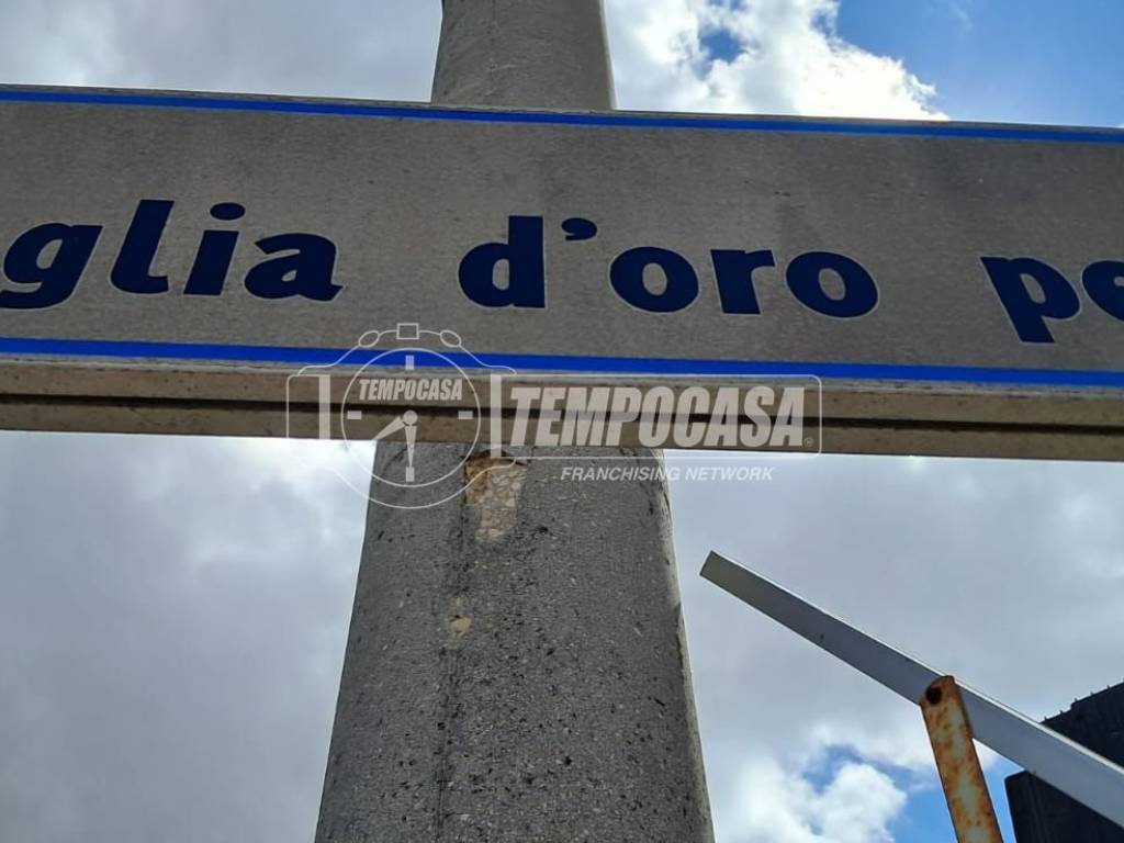 Zona