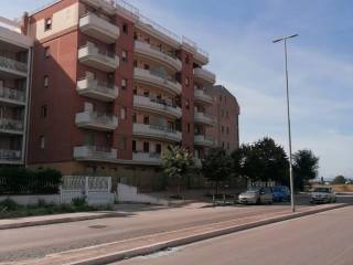 Zona